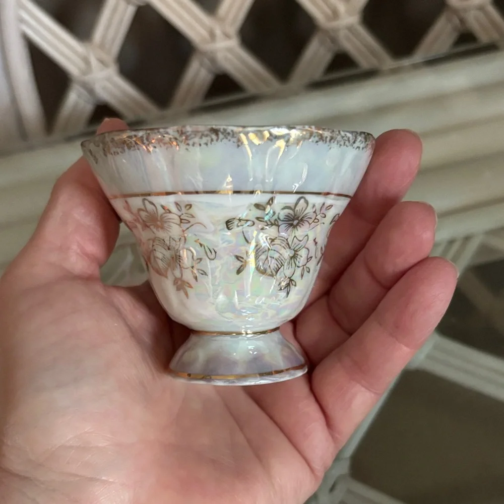 Vintage Japanese Bone China Teacup and Saucer Set
